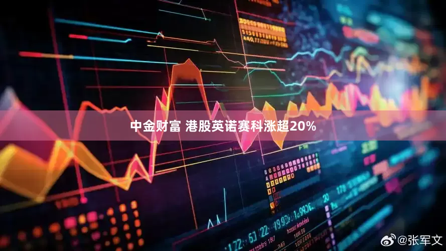 中金财富 港股英诺赛科涨超20%