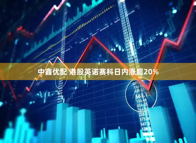 中鑫优配 港股英诺赛科日内涨超20%