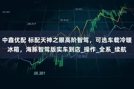 中鑫优配 标配天神之眼高阶智驾，可选车载冷暖冰箱，海豚智驾版实车到店_操作_全系_续航