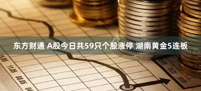 东方财通 A股今日共59只个股涨停 湖南黄金5连板